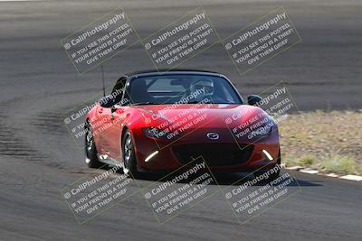 media/Oct-14-2023-West Coast Racing (Sat) [[6853f17b7b]]/Yellow Group/Session 1 (Turn 3)/